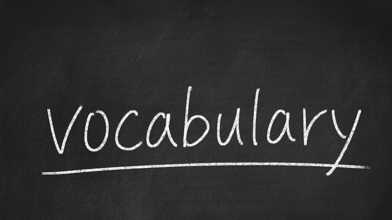 vocabulary